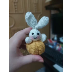 南瓜小兔寳兒,終於完成了,蠻可愛的! Pumpkin rabbit mini me 售價:250元
